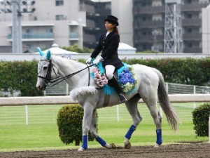 川崎競馬の誘導馬　６月開催　紫陽花　トーチくん　３