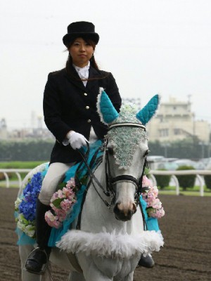 川崎競馬の誘導馬　６月開催　紫陽花Ｖｅｒ　トーチくん　３
