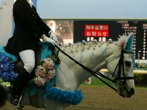 川崎競馬の誘導馬　６月開催　紫陽花Ｖｅｒ　ユーちゃん　５