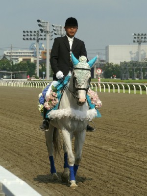 川崎競馬の誘導馬　６月開催　紫陽花Ｖｅｒその１　１