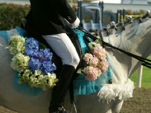川崎競馬の誘導馬　６月開催　紫陽花Ｖｅｒその１　３