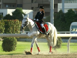 川崎競馬の誘導馬　７月前半開催　スイカＶｅｒ　ユーちゃん１