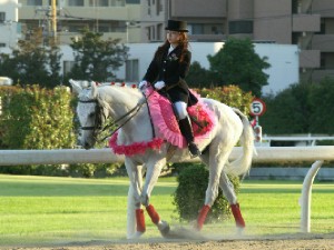 川崎競馬の誘導馬　７月前半開催　朝顔Ｖｅｒ　ユーちゃん２