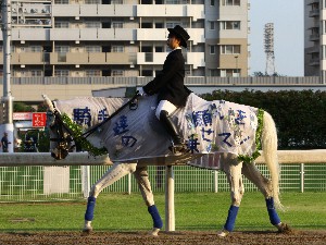 川崎競馬の誘導馬　７月開催　七夕短冊Ｖｅｒ　１