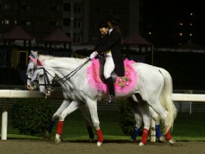 川崎競馬の誘導馬　７月開催　重賞　紫陽花Ｖｅｒ　１