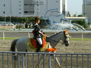 川崎競馬の誘導馬　８月ひまわり　トーチくん　黒浴衣Ｖｅｒ　３