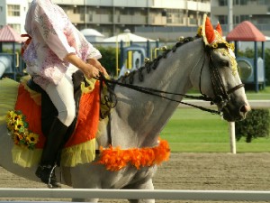 川崎競馬の誘導馬　８月ひまわり　トーチくんＶｅｒ　３