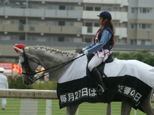 川崎競馬の誘導馬　パトロールホース　１