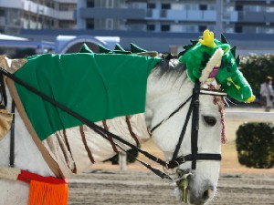 川崎競馬の誘導馬０１月開催　辰Ｖｅｒ