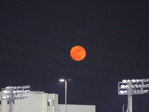川崎競馬場から見た真っ赤な月.jpg