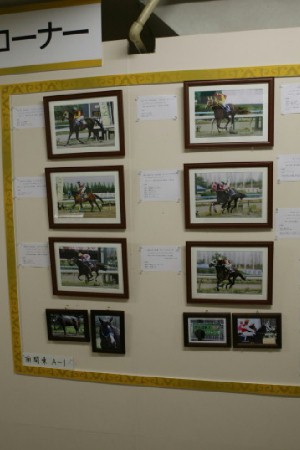 アラブの年度代表馬の展示