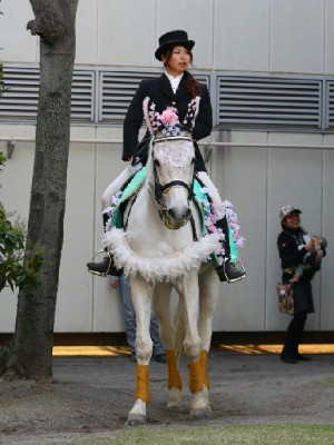 川崎競馬の誘導馬　新作桜の衣装