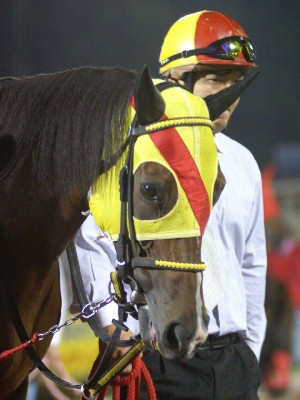GRANDAME JAPAN 古馬シーズン初代女王は　キーポケット